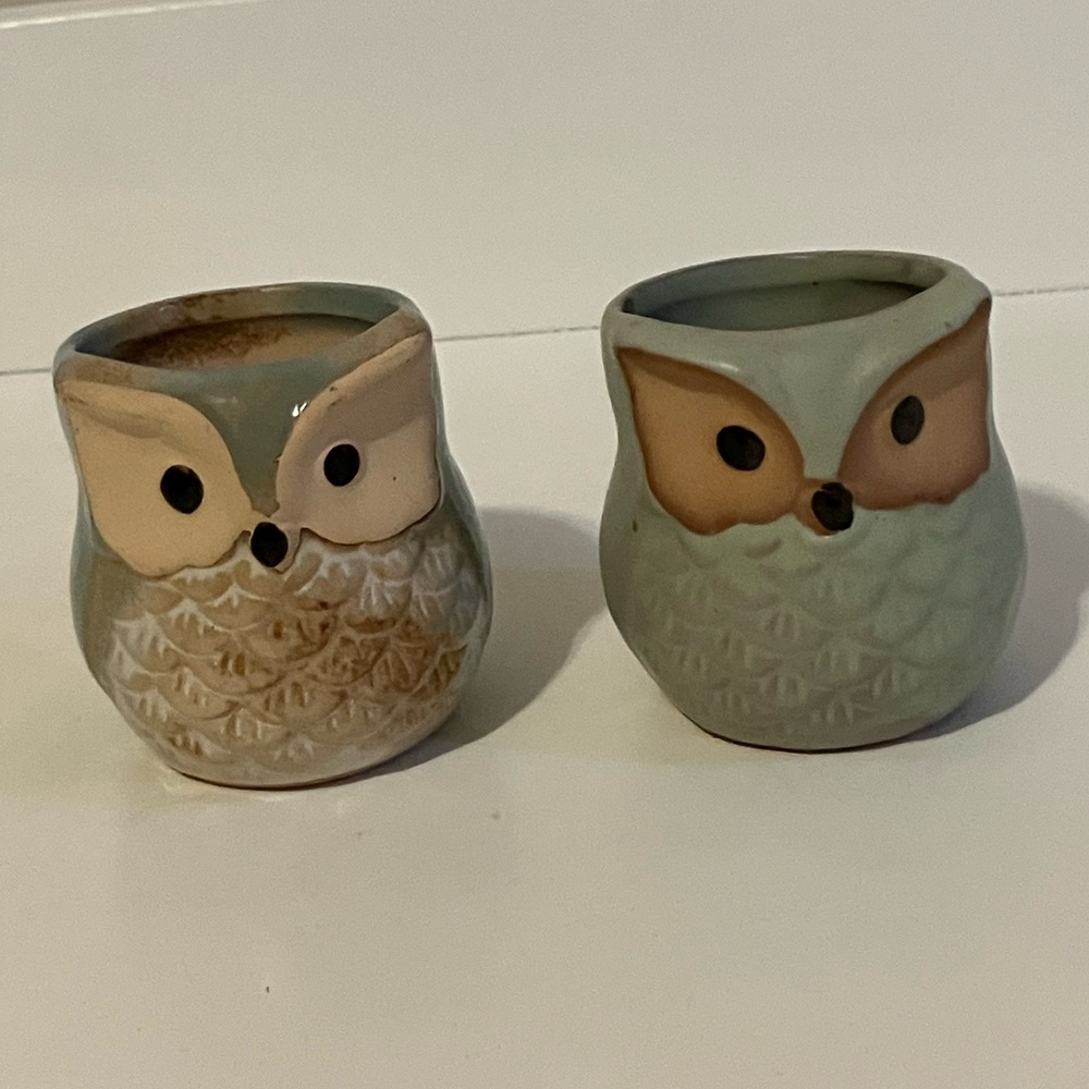 Owl Ceramic Planters - Green and Cream